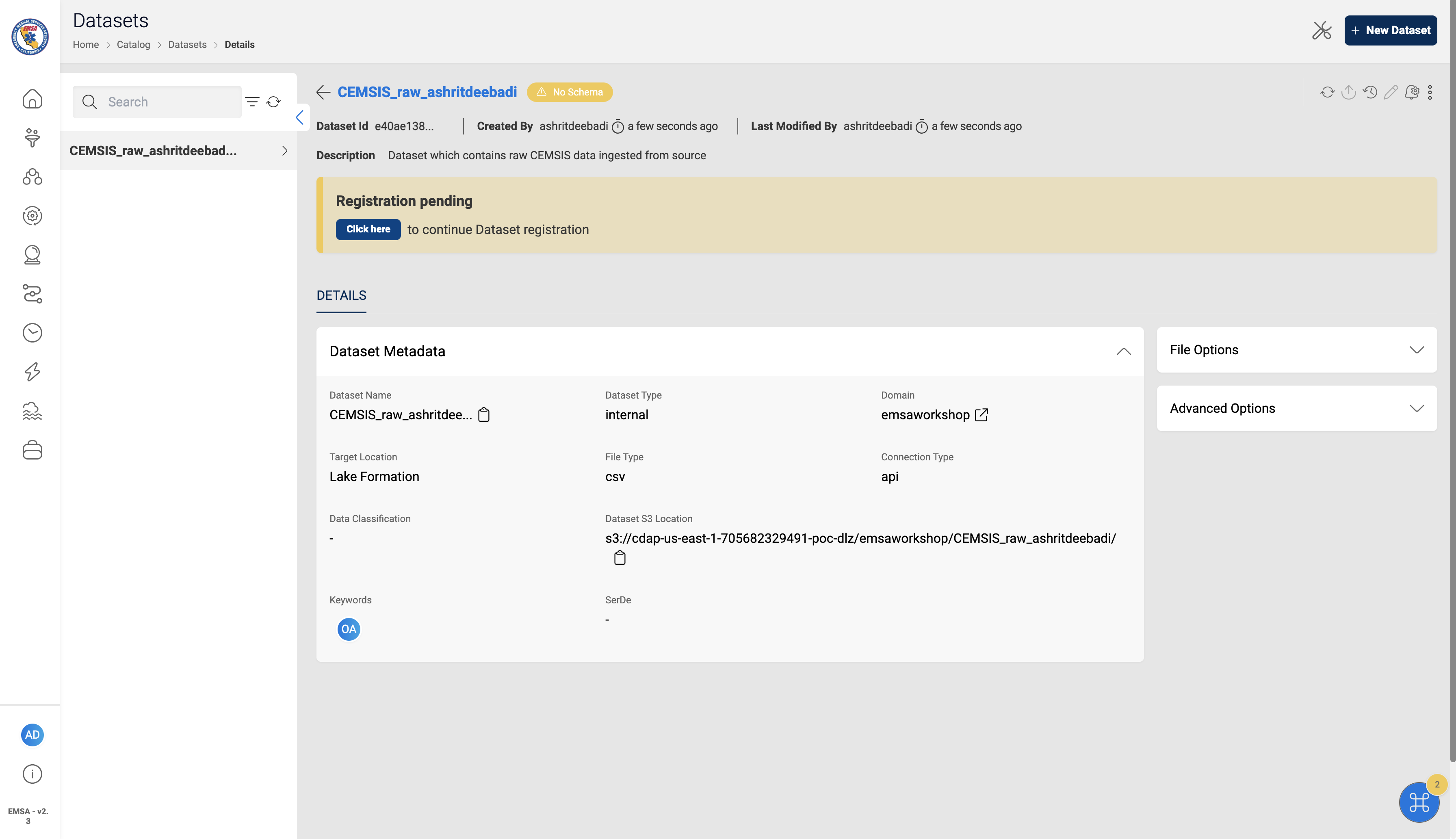 datasetschema