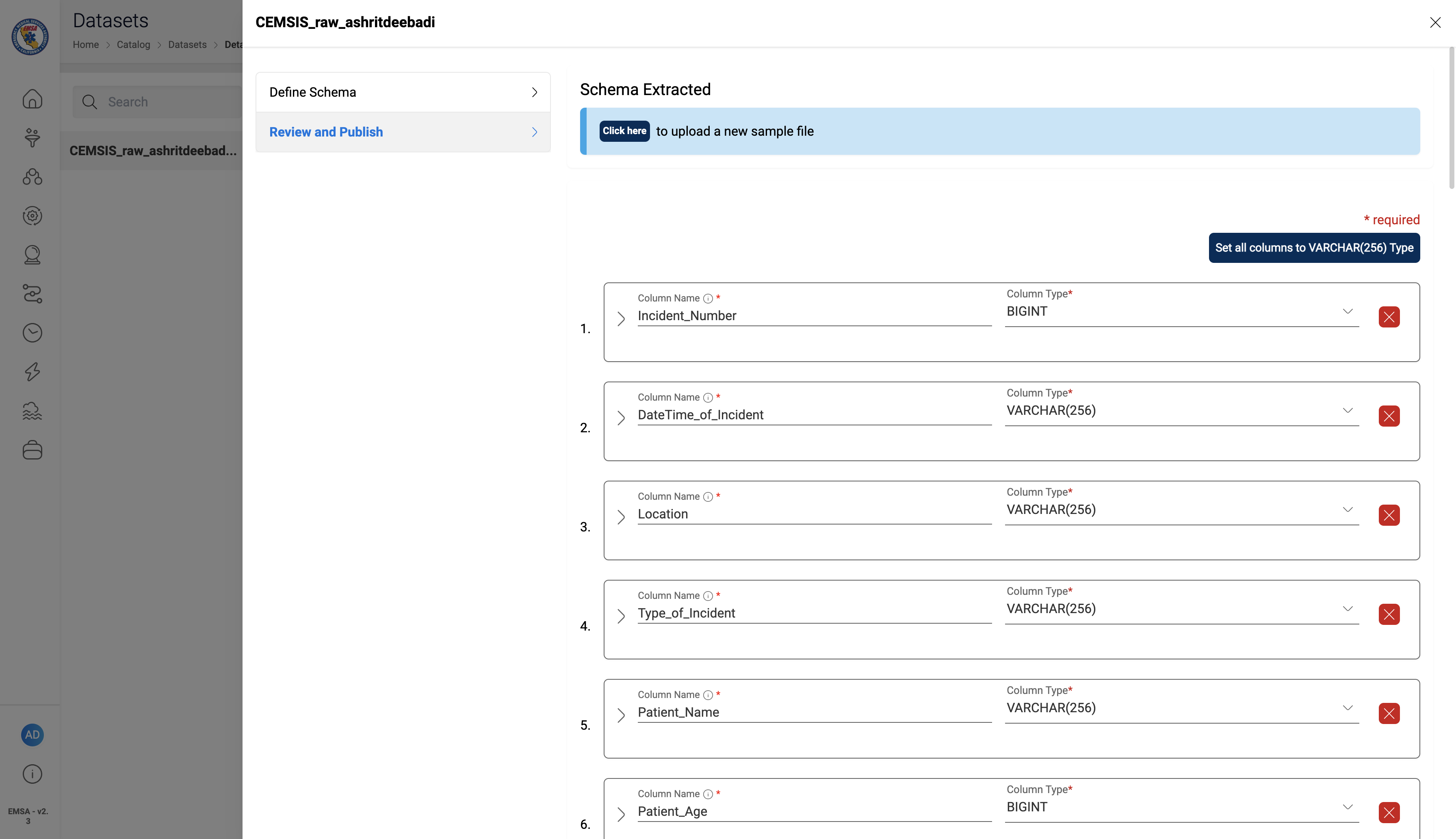 datasetschema
